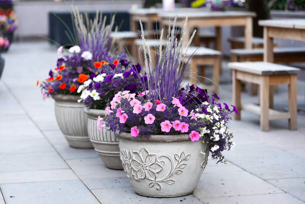 Интеграция с сайтом